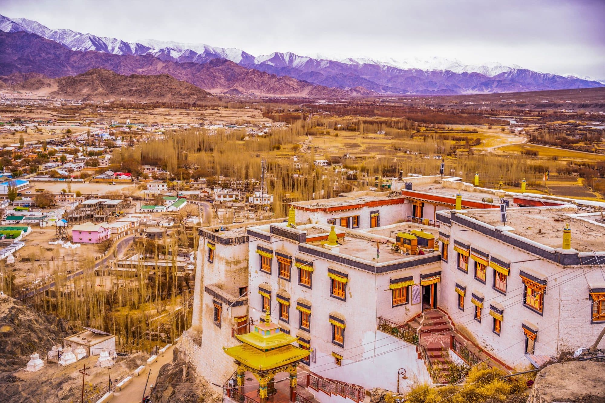 Leh and its palace seen from above